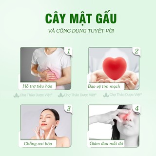 500g Cây Mật Gấu (Khô, Sạch, Thơm)