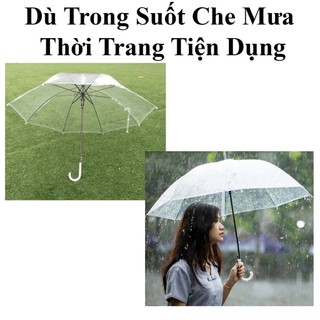 Dù Đi Mưa Trong Suốt Dễ Thương