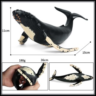 Mô hình động vật con cá voi lưng gù cá voi xanh MỀM Đồ chơi Quà tặng cho trẻ