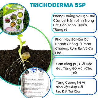 TRICHODERMA Trừ Nấm Bệnh, Ủ Phân, Cải Tạo Đất - Bột Hòa Tan - Gói 500 gr