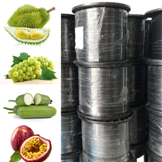 Dây Cáp Mạng 1FO/2FO Dây Thép Bọc Nhựa Dùng Làm Giàn Leo Nông Nghiệp Dây 3 Sợi Thép Không Co Giãn, Dây Neo quả Sầu Riêng