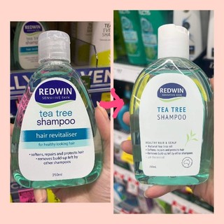 Dầu gội cây trà tea tree Redwin (mẫu mới)