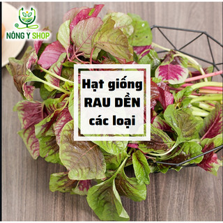 Hạt giống các loại rau dền Rạng Đông, rau dền đỏ, rau dền ba màu, rau dền cơm, gói lớn, gói trồng thử