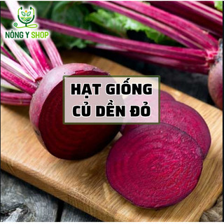 Hạt giống củ dền đỏ rạng đông rado 702