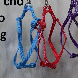 Dây dắt chó mèo - Dây đai người