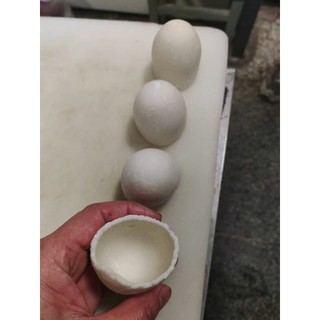 Máy làm bánh bao thủ công 100gr inox