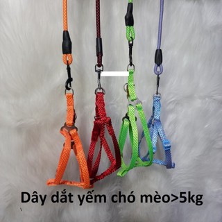 Dây đai ngực dây tròn - Dây dắt chó mèo