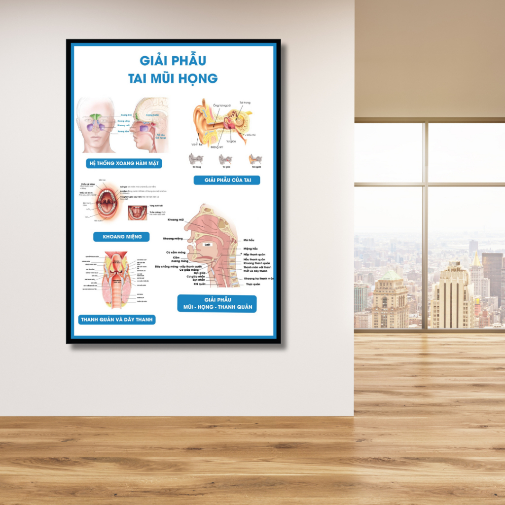 (Decal Dán) Tranh Giải phẫu Tai Mũi Họng Trong Y Khoa, Tranh Atlas Rõ Đẹp
