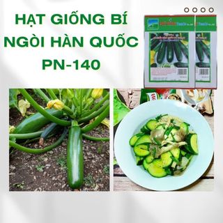 Hạt Giống Bí Ngòi Hàn Quốc F1 Phú Nông (Vườn Sài Gòn - Vuon Sai Gon) hạt chắc khỏe tỉ lệ nẩy mầm cao