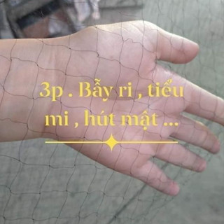 Lưới Bẫy Chim 3cm Tàng Hình Thái lan, Cước Sợi 0.11, cao 5m 5 Dây 4 Túi, Chuyên Chào Mào , Khuyên , Sâu, Ri, Chòe Lửa