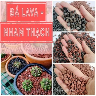 Đá Nham Thạch-  Đá Lava Giá Thể Trồng Sen Đá, Xương Rồng, Đá Rãi Mặt Chậu
