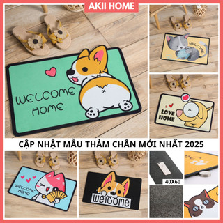 Thảm lau chân 3D mặt đế chống trơn trượt KT 40x60cm Akii Home T01