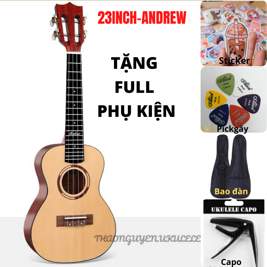 Đàn ukulele Andrew chính hàng màu gỗ vàng size concert-Âm siêu hay