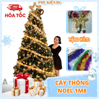 Cây Thông Noel 2m4 Tán Rộng Lá Dày Trang Trí Giáng Sinh Tặng 1 Ngôi Sao Đỉnh và 6 Dây Kim Tuyến
