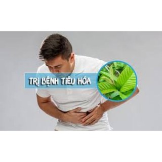 TRÀ LÁ ỔI TÚI LỌC ~SAN PHẨM TỪ THIÊN NHIÊN~TOT CHO SỨC KHỎE