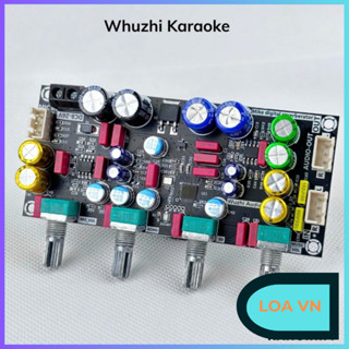Mạch karaoke tạo vang Wuzhi ZK AMP, Mạch karaoke 2 mic. Reverb micro karaoke DSP shop Loa VN