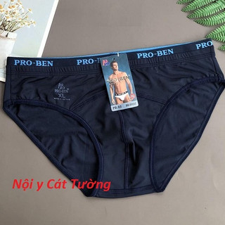 Combo 5 Quần lót thun lạnh nam Proben(giao màu ngẫu nhiên)