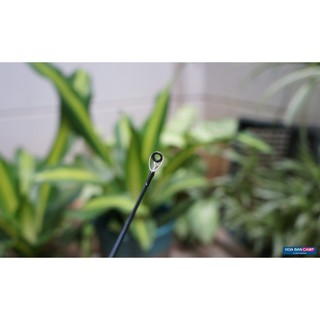 Cần Lure Daiwa AEGIS X | 2 Khúc - Khoen Fuji Alconite, Braiding-X, Tay Nắm EVA Họa Tiết Camo