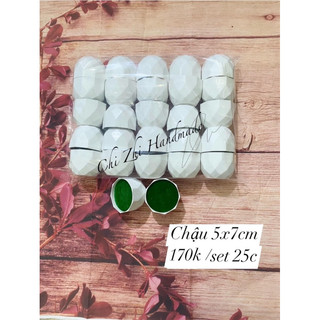 Set 25c chậu hoa mini siêu rẻ
