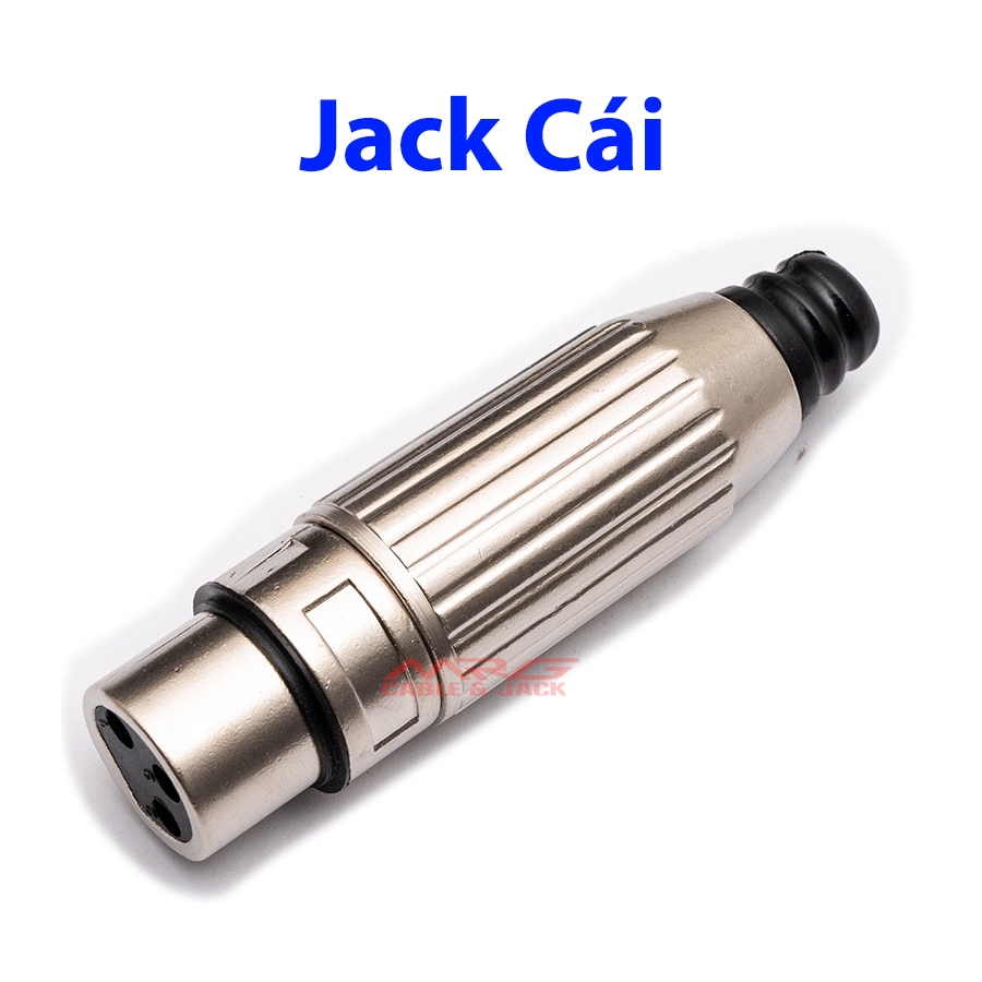 1 Jack canon sọc  Đực - Cái