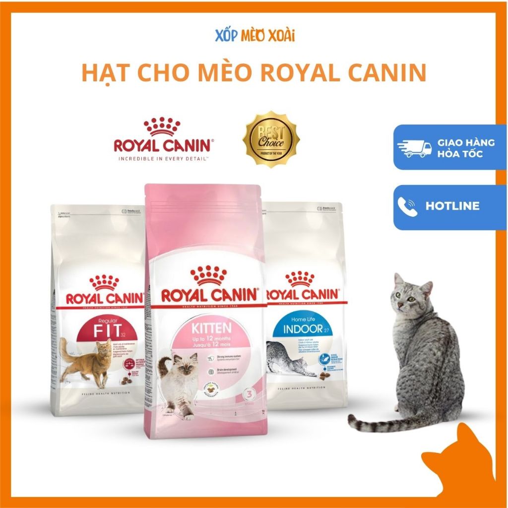 Thức ăn hạt cho mèo ROYAL CANIN Indoor, Kitten, Fit 32 - Hạt Khô Royal Canin cho Mèo Lớn, Mèo con