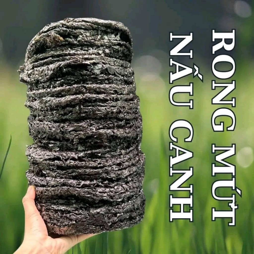 Rong Biển Nấu canh, Làm Cháy Tỏi, Sấy Mè,Trộn Cơm  Giàu Canxi - Canh Rong biển Thanh Mát ( Hút Chân Không )