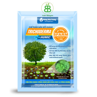 Nấm Đối Kháng Trichoderma Chất Lượng Cao 1kg - Trichoderma Sfram và Trichoderma Điền Trang
