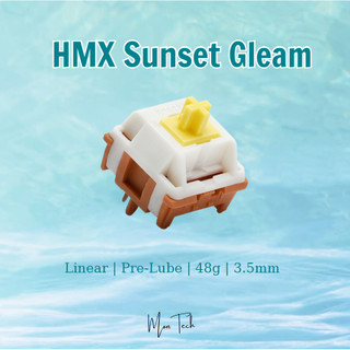 [Hỏa Tốc-HCM] Knock Knock Studio | HMX SunSet Gleam
