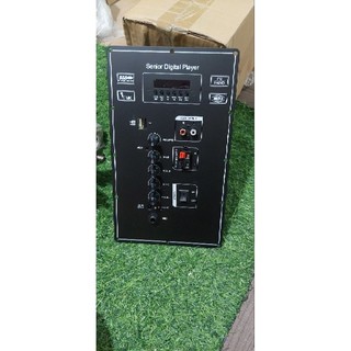 Mạch Loa Kéo (16.5 ×27.5 )Chuyên Bass Đơn 20-25-30 Coil Nhỏ Kèm Đầy Đủ Phụ Kiện  Không Kèm Nguồn
