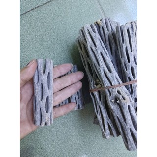 Lũa cholla (lũa xương rồng) cho hồ tép cảnh