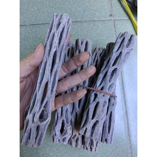 Lũa cholla (lũa xương rồng) cho hồ tép cảnh
