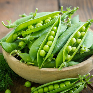 Hạt giống đậu hà lan
