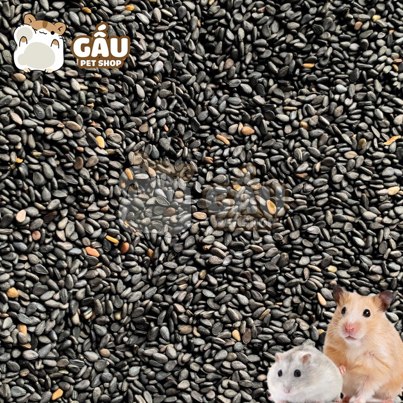 Mè Đen cho Hamster