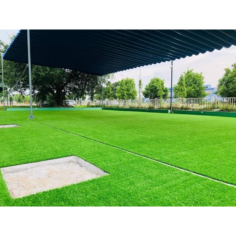 Thảm cỏ nhân tạo 3cm 15m2