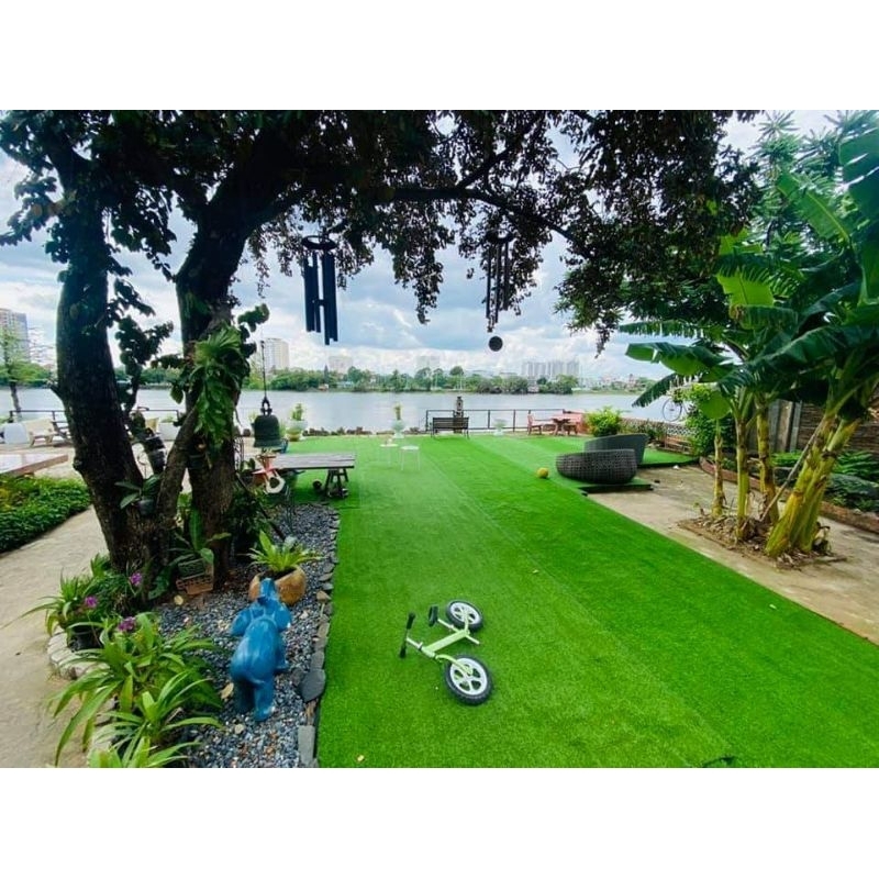 Combo 50m2 thảm cỏ 2cm