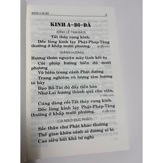 Sách - Kinh Chú thường tụng ( Bìa mềm - ÔH)