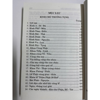 Sách - Kinh Chú thường tụng ( Bìa mềm - ÔH)