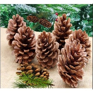 Quả thông trang trí cây thông noel bể cá, quả thông trang trí