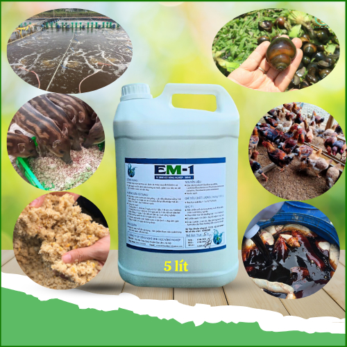 Chế phẩm sinh học. Chế phẩm EM gốc can 5 lít. 1 lít EM gốc ủ được 40 lít EM thứ cấp