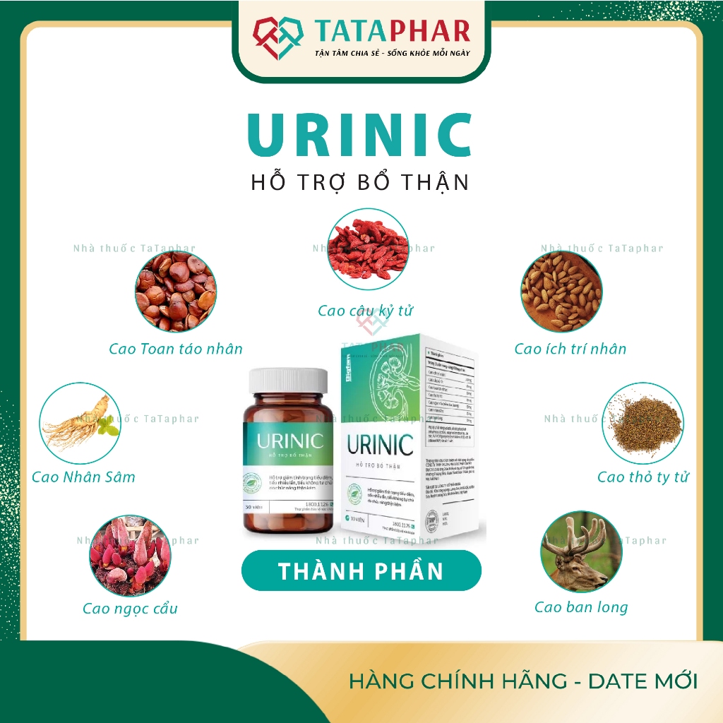 Viên uống hỗ trợ bổ thận Urinic - Hỗ trợ Giảm tình trạng tiểu đêm, tiểu nhiều lần, tiểu rắt, tiểu không tự chủ