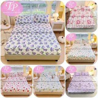 Bộ Ga + 2 Vỏ Gối Trần Bông Dày Dặn Chất Liệu Cotton Đũi Sơ Đậu Nành Siêu Mềm Mịn - Đủ Kích Thước