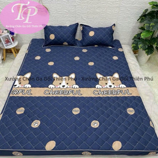 Ga Chun Lẻ Trần Bông Dày Dặn Coton Poly Đủ Kích Thước : 1m2/1m6/1m8/2m2 - Được Chọn Mẫu