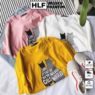 Áo thun tay lỡ form rộng mèo đôi kute, áo phông form rộng HLFashion