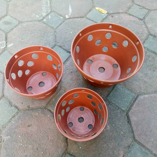 Chậu trồng lan giả đất đẹp rẻ bền GiongRauSach