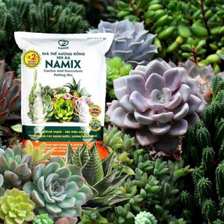 Giá thể Đất trồng cây Sen đá Xương rồng Trường sinh, Nha đam, cây mọng nước các loại