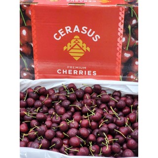 [Ship hỏa tốc TPHCM 1-2 tiếng ]  1kg Cherry Cerasus tươi ngọt trái có cấn nhẹ.( vị chua nhẹ)