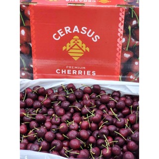 [Ship hỏa tốc TPHCM 1-2 tiếng ]  1kg Cherry Cerasus tươi ngọt trái có cấn nhẹ.( vị chua nhẹ)