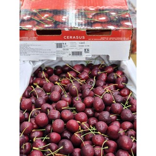[Ship hỏa tốc TPHCM 1-2 tiếng ]  1kg Cherry Cerasus tươi ngọt trái có cấn nhẹ.( vị chua nhẹ)