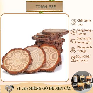 (1 cái) Miếng gỗ tròn trang trí, gỗ thông tự nhiên - phụ kiện trang trí Trian Bee