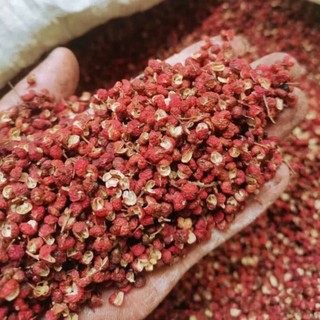 1kg hạt hoa tiêu đỏ tứ xuyên xuyên tiêu hữu cơ gia vị nấu lẩu làm gà ủ muối